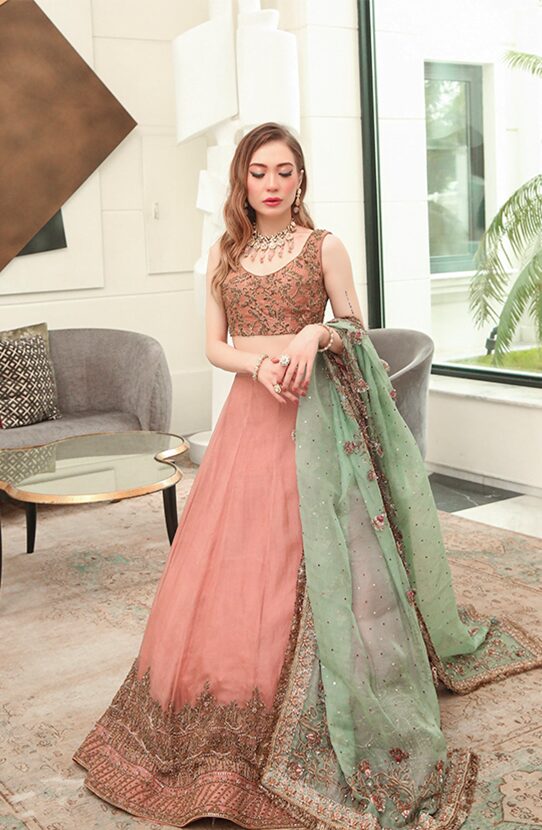 Bordered Lehenga with Embellished Silk Choli and a Dupatta