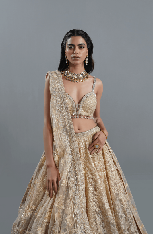 Beige Dream - Exquisite Net Lehenga Choli Outfit-Elegant Beige Dream net lehenga choli outfit showcasing exquisite front design.