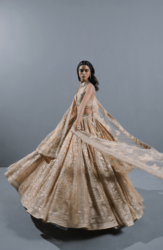 Beige Dream - Exquisite Net Lehenga Choli Outfit-Side profile of beige net lehenga choli highlighting gracefu