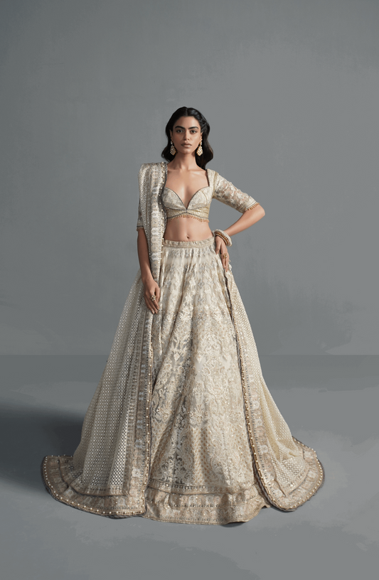 Crème Orchid - Ethereal Lehenga Choli Ensemble-Elegant Crème Orchid lehenga choli with embroidery, front view.
