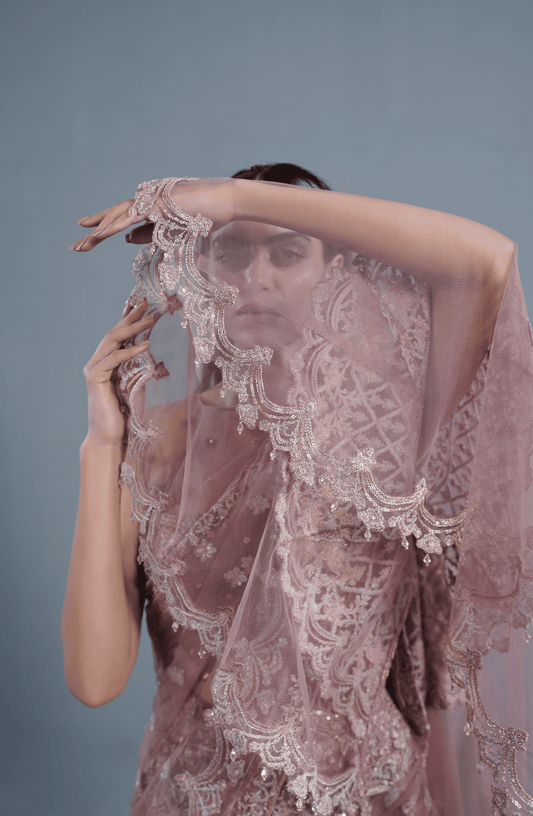 Dusty Rose Pakistani Saree online-Intricate embroidery and fine net detailing on dusty rose saree pallu.