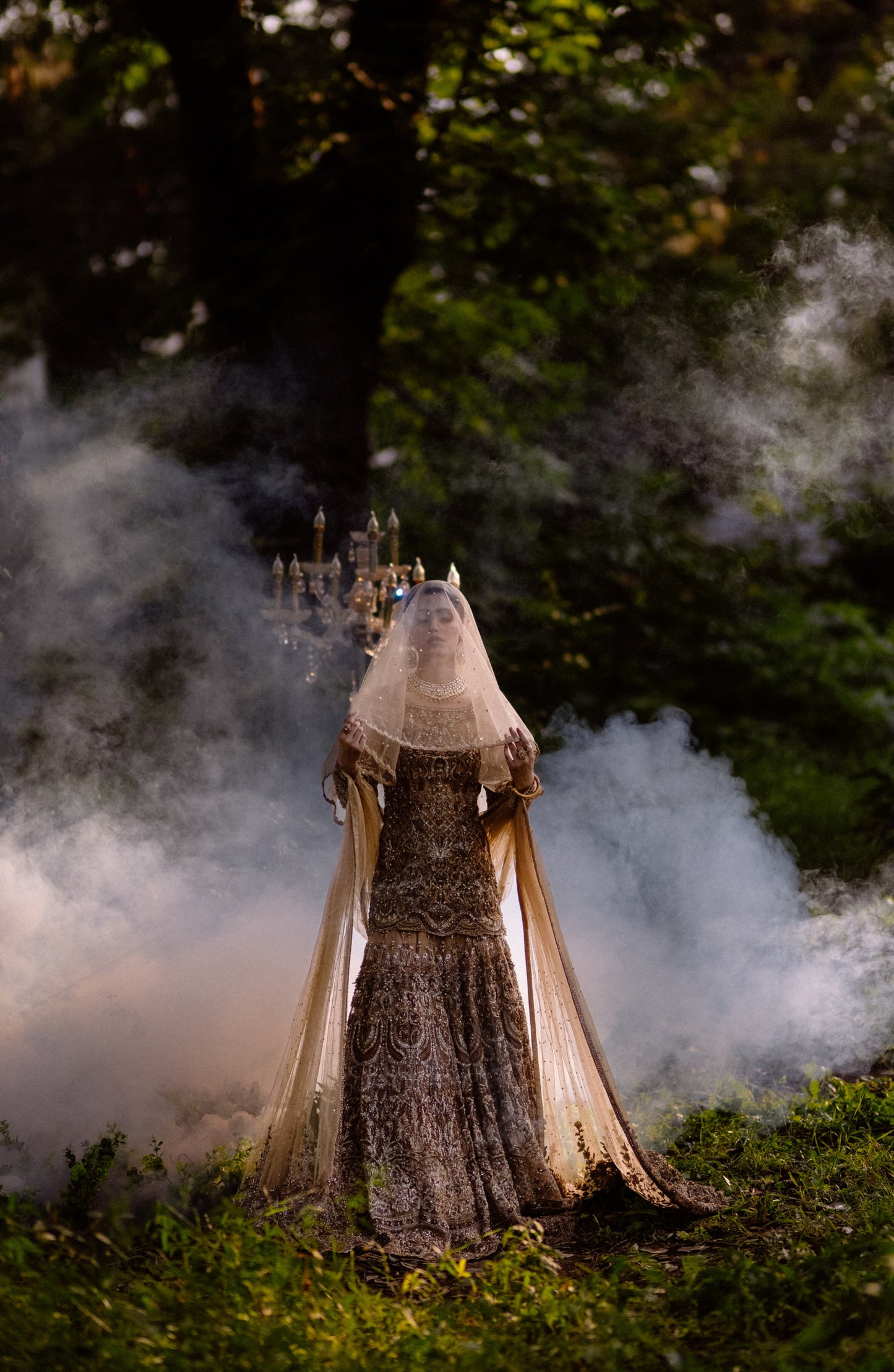 A person in an ornate dark brocade gown with a sheer veil stands outdoors in a forest setting, surrounded by dramatic smoke and greenery. A small candelabra is visible behind them.