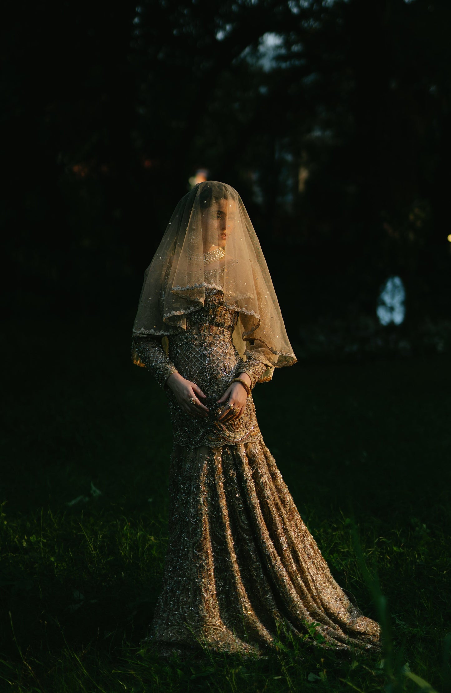 A woman wearing an ornate gold lace gown and sheer veil stands outdoors in a dark, grassy setting at night.