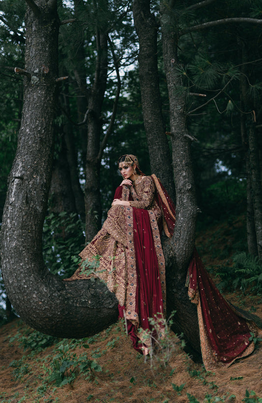 A woman wearing an ornate traditional outfit with a deep red dupatta and heavily embroidered beige and gold fabric, posed outdoors among dark trees in a forest setting.