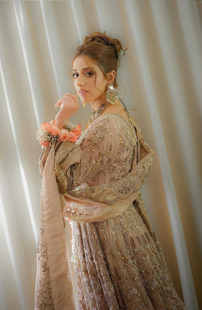 Rose Pink Floor-length Gown with Ombré Lehenga