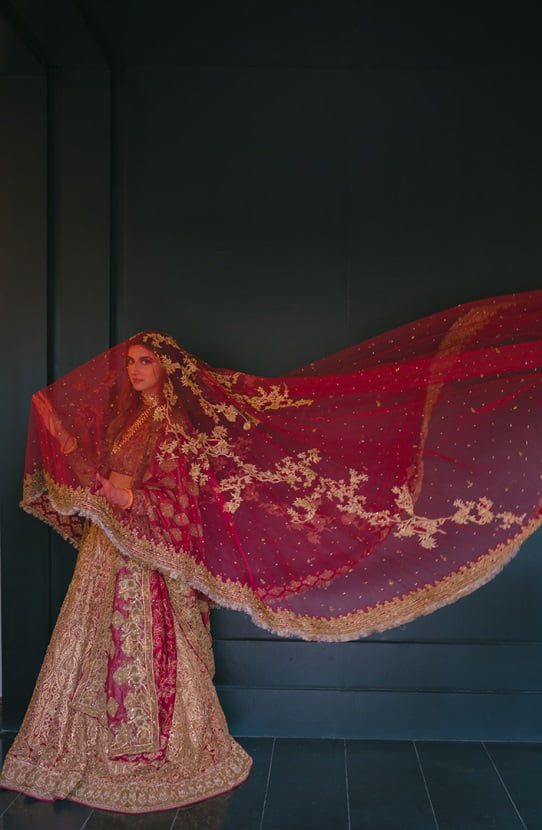 Bridal Embroidered Lehenga Choli and Paired with a Tissue Shawl