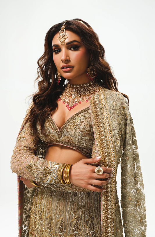 Ghazal - Silver Grey Lehenga with Ganga Jaamni Embellishments 