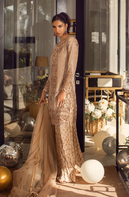 HSY Luxury formal dresses from Pakistan 