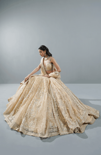 Beige Dream - Exquisite Net Lehenga Choli Outfit-Intricate embroidery details on Beige Dream lehenga choli ensemble.