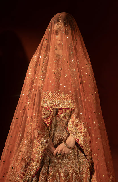Border detailing on rust orange jamawar bridal lehenga
