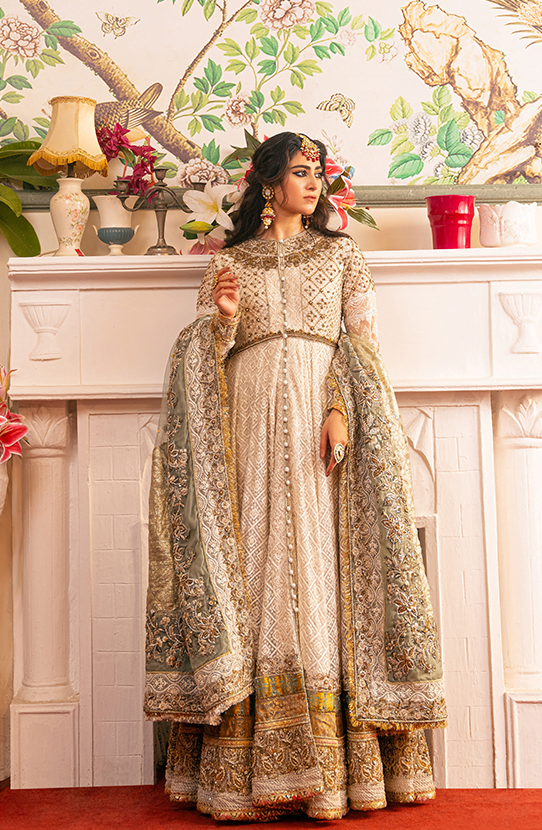 Pakistani Bridal Dresses by Hsy